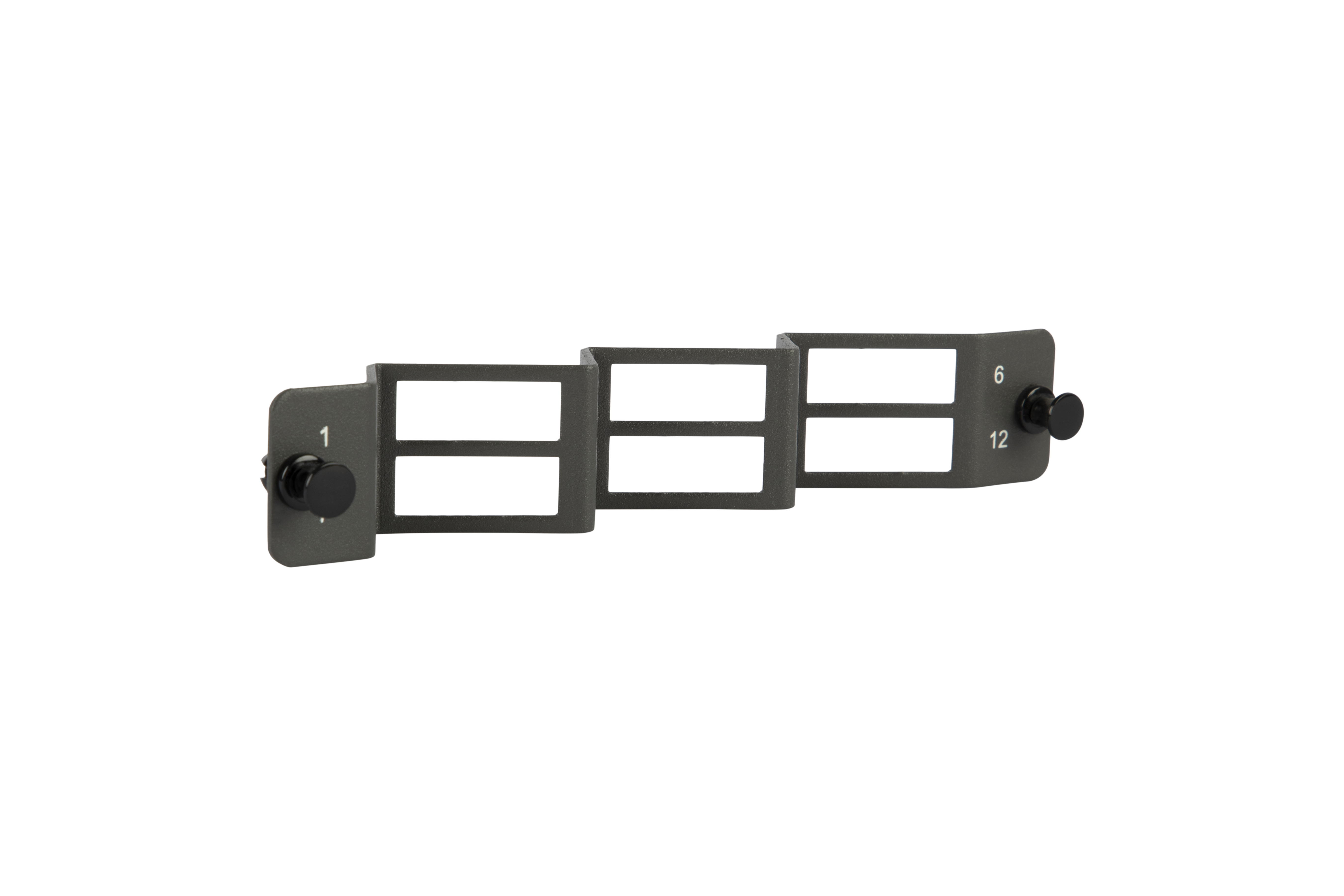 Faceplate SC Duplex 6P 1-12 Angled Left