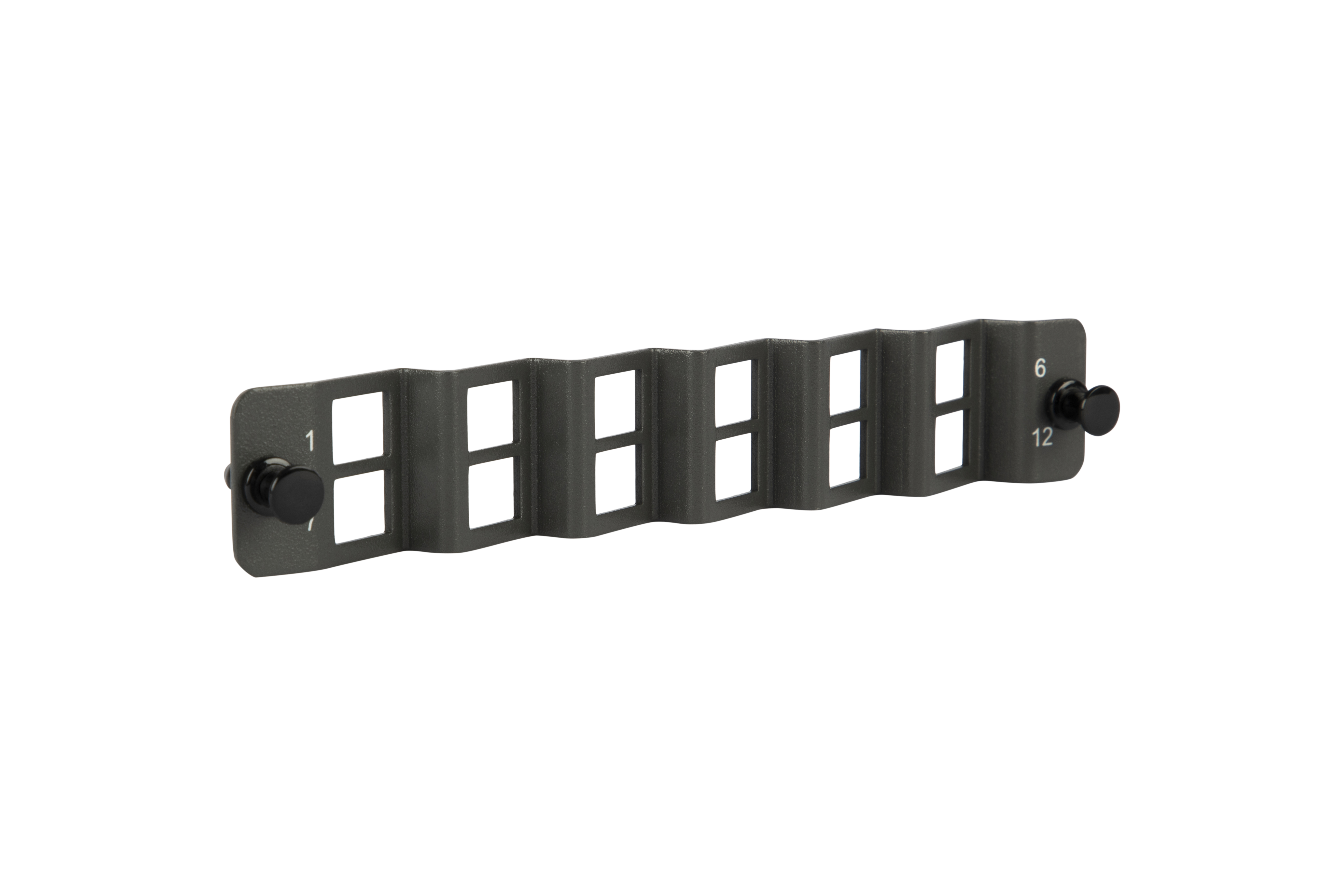 Faceplate: SC/LCD 1-12 Angled Right